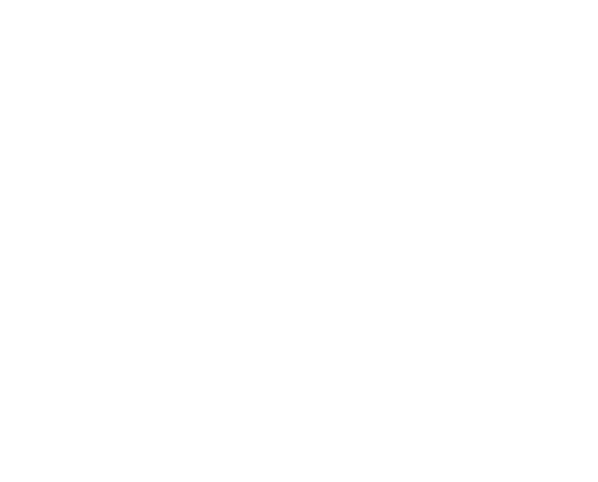 XerifeStore Logo